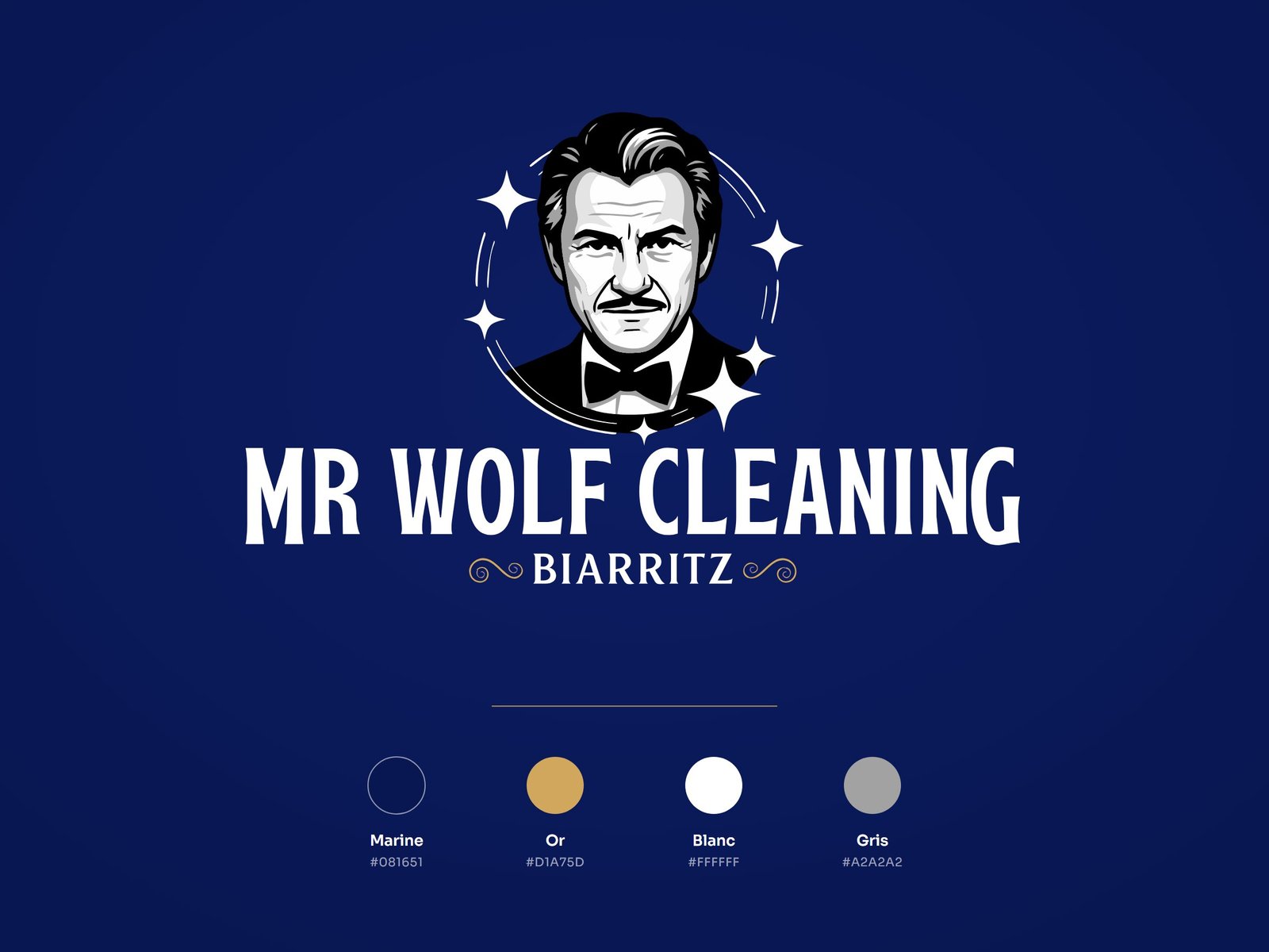 Logo Mr Wolf Cleaning Biarritz sur fond marine, avec sa palette : marine, or, blanc et gris